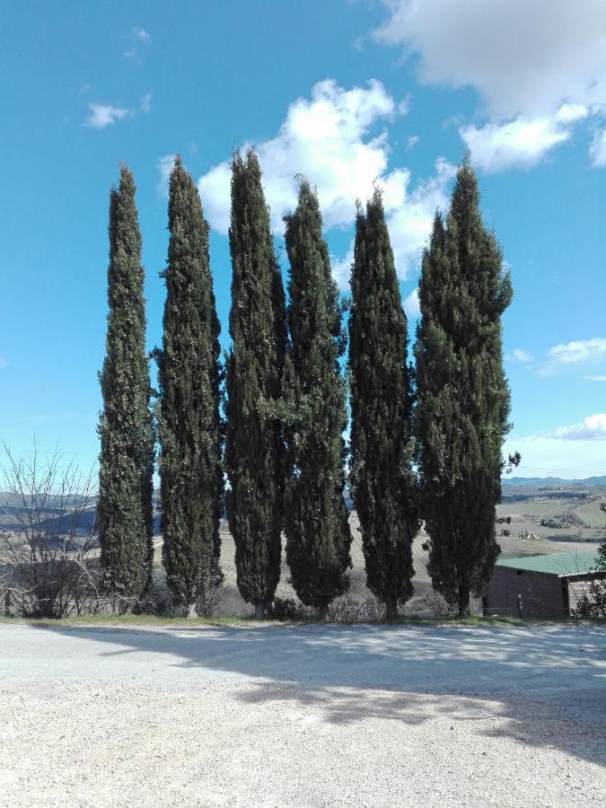 Country House Martina Castelnuovo Berardenga Luaran gambar